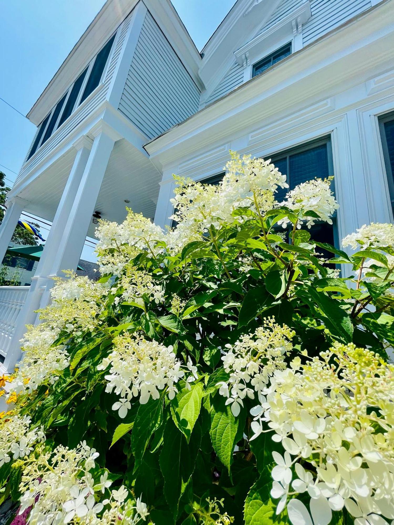 White Porch Inn Провинстаун Экстерьер фото